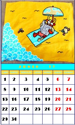 junio 2009